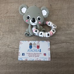 Dentition - Koala